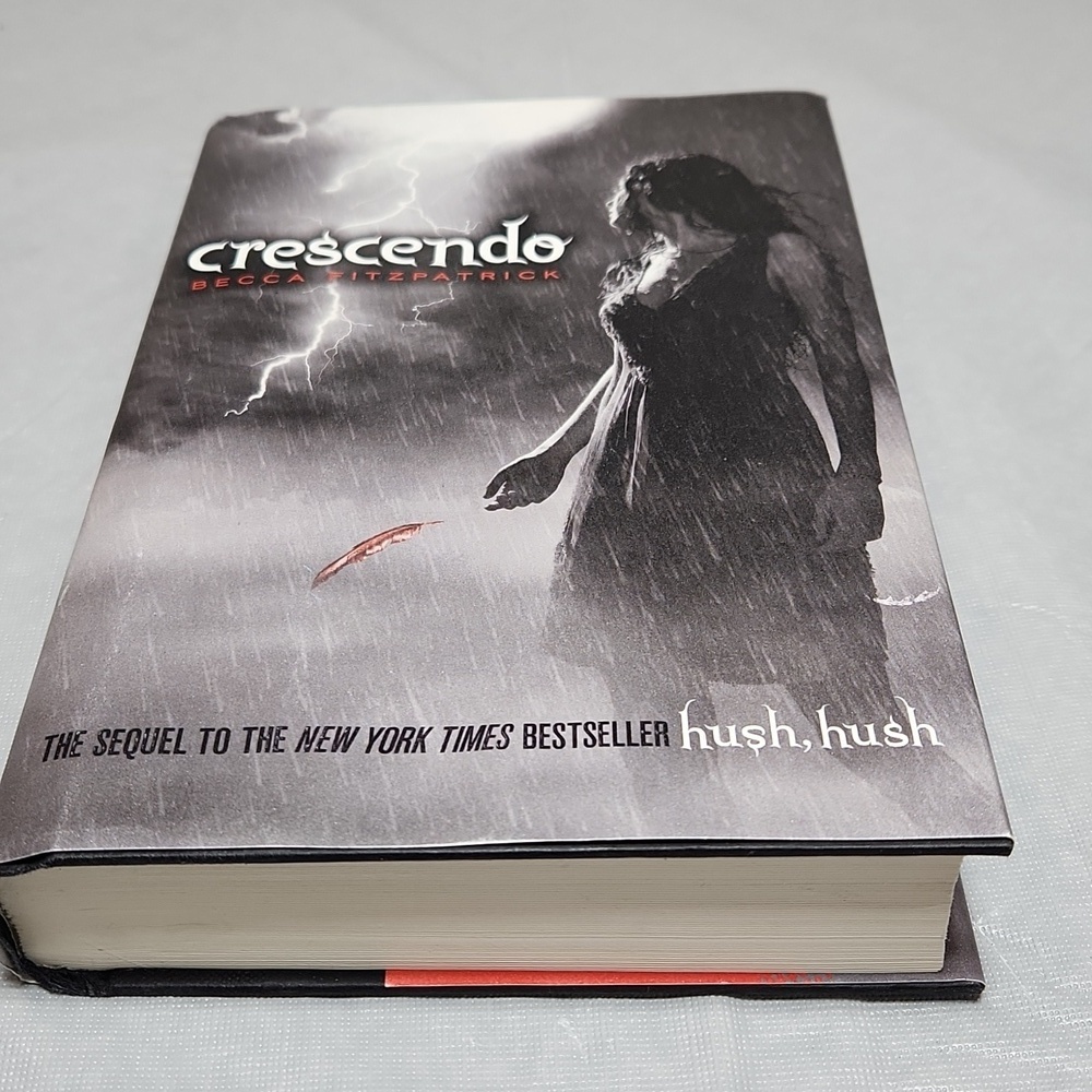Becca Fitzpatrick, Crescendo